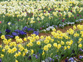 Filename=DSCF6790.JPG
Filesize=3145KiB
Dimensions=3264x2448
Date added=Sep 28, 2019 DSCF6790.JPG