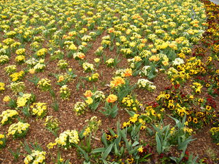 Filename=DSCF6803.JPG
Filesize=3259KiB
Dimensions=3264x2448
Date added=Sep 28, 2019 DSCF6803.JPG