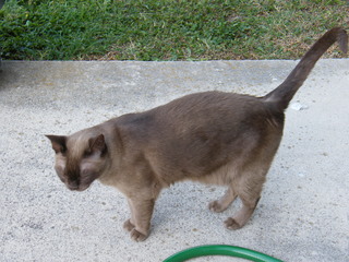 Filename=DSCF6836.JPG
Filesize=3206KiB
Dimensions=3264x2448
Date added=Sep 28, 2019 DSCF6836.JPG