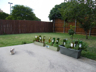 Filename=DSCF6872.JPG
Filesize=3001KiB
Dimensions=3264x2448
Date added=Sep 28, 2019 DSCF6872.JPG