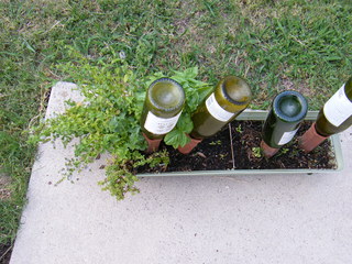 Filename=DSCF6882.JPG
Filesize=3189KiB
Dimensions=3264x2448
Date added=Sep 28, 2019 DSCF6882.JPG