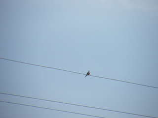 Filename=DSCF6886.JPG
Filesize=612KiB
Dimensions=3264x2448
Date added=Sep 28, 2019 DSCF6886.JPG