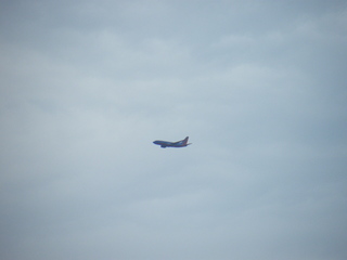 Filename=DSCF6897.JPG
Filesize=3273KiB
Dimensions=3264x2448
Date added=Sep 28, 2019 DSCF6897.JPG