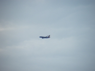 Filename=DSCF6898.JPG
Filesize=2656KiB
Dimensions=3264x2448
Date added=Sep 28, 2019 DSCF6898.JPG