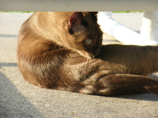 Filename=DSCF6907.JPG
Filesize=3315KiB
Dimensions=3264x2448
Date added=Sep 28, 2019 DSCF6907.JPG