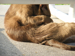 Filename=DSCF6910.JPG
Filesize=3328KiB
Dimensions=3264x2448
Date added=Sep 28, 2019 DSCF6910.JPG