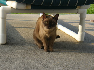 Filename=DSCF6917.JPG
Filesize=3041KiB
Dimensions=3264x2448
Date added=Sep 28, 2019 DSCF6917.JPG