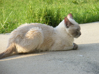 Filename=DSCF6926.JPG
Filesize=3557KiB
Dimensions=3264x2448
Date added=Sep 28, 2019 DSCF6926.JPG