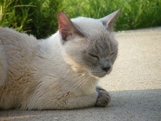 Filename=DSCF6930.JPG
Filesize=3518KiB
Dimensions=3264x2448
Date added=Sep 28, 2019 DSCF6930.JPG