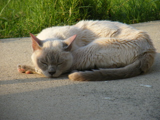 Filename=DSCF6934.JPG
Filesize=3499KiB
Dimensions=3264x2448
Date added=Sep 28, 2019 DSCF6934.JPG