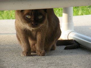 Filename=DSCF6955.JPG
Filesize=3487KiB
Dimensions=3264x2448
Date added=Sep 28, 2019 DSCF6955.JPG