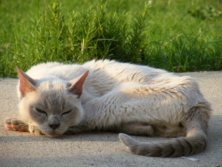 Filename=DSCF6983.JPG
Filesize=3604KiB
Dimensions=3264x2448
Date added=Sep 28, 2019 DSCF6983.JPG