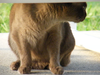 Filename=DSCF6992.JPG
Filesize=3390KiB
Dimensions=3264x2448
Date added=Sep 28, 2019 DSCF6992.JPG