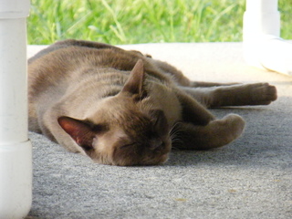 Filename=DSCF6997.JPG
Filesize=2947KiB
Dimensions=3264x2448
Date added=Sep 28, 2019 DSCF6997.JPG