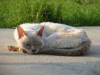 Filename=DSCF6999.JPG
Filesize=3569KiB
Dimensions=3264x2448
Date added=Sep 28, 2019 DSCF6999.JPG