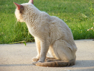 Filename=DSCF7001.JPG
Filesize=3500KiB
Dimensions=3264x2448
Date added=Sep 28, 2019 DSCF7001.JPG