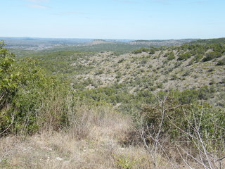 Filename=DSCF9841.JPG
Filesize=3021KiB
Dimensions=3264x2448
Date added=Sep 28, 2019 DSCF9841.JPG