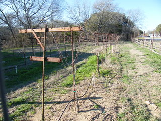 Filename=DSCF9865.JPG
Filesize=3392KiB
Dimensions=3264x2448
Date added=Sep 28, 2019 DSCF9865.JPG