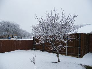 Filename=DSCF9867.JPG
Filesize=2900KiB
Dimensions=3264x2448
Date added=Sep 28, 2019 DSCF9867.JPG