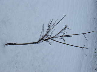 Filename=DSCF9870.JPG
Filesize=657KiB
Dimensions=3264x2448
Date added=Sep 28, 2019 DSCF9870.JPG