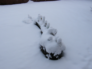 Filename=DSCF9880.JPG
Filesize=3007KiB
Dimensions=3264x2448
Date added=Sep 28, 2019 DSCF9880.JPG