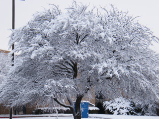 Filename=DSCF9882.JPG
Filesize=3096KiB
Dimensions=3264x2448
Date added=Sep 28, 2019 DSCF9882.JPG