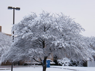 Filename=DSCF9883.JPG
Filesize=3144KiB
Dimensions=3264x2448
Date added=Sep 28, 2019 DSCF9883.JPG