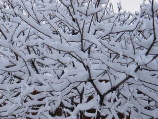 Filename=DSCF9884.JPG
Filesize=3215KiB
Dimensions=3264x2448
Date added=Sep 28, 2019 DSCF9884.JPG