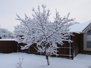 Filename=DSCF9885.JPG
Filesize=2915KiB
Dimensions=3264x2448
Date added=Sep 28, 2019 DSCF9885.JPG