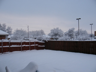 Filename=DSCF9886.JPG
Filesize=3212KiB
Dimensions=3264x2448
Date added=Sep 28, 2019 DSCF9886.JPG