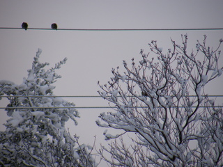 Filename=DSCF9888.JPG
Filesize=3249KiB
Dimensions=3264x2448
Date added=Sep 28, 2019 DSCF9888.JPG