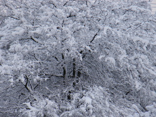 Filename=DSCF9890.JPG
Filesize=3125KiB
Dimensions=3264x2448
Date added=Sep 28, 2019 DSCF9890.JPG