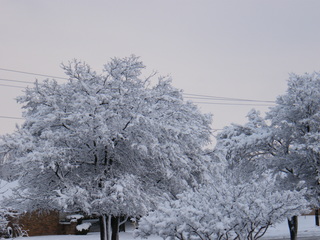 Filename=DSCF9891.JPG
Filesize=3281KiB
Dimensions=3264x2448
Date added=Sep 28, 2019 DSCF9891.JPG