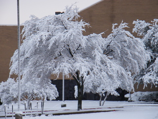 Filename=DSCF9892.JPG
Filesize=3322KiB
Dimensions=3264x2448
Date added=Sep 28, 2019 DSCF9892.JPG