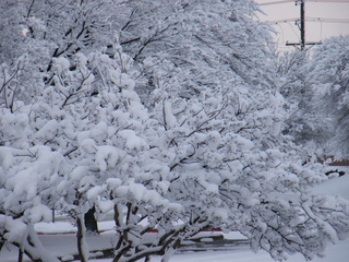 Filename=DSCF9895.JPG
Filesize=3331KiB
Dimensions=3264x2448
Date added=Sep 28, 2019 DSCF9895.JPG