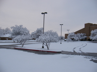 Filename=DSCF9900.JPG
Filesize=3247KiB
Dimensions=3264x2448
Date added=Sep 28, 2019 DSCF9900.JPG