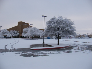 Filename=DSCF9901.JPG
Filesize=3469KiB
Dimensions=3264x2448
Date added=Sep 28, 2019 DSCF9901.JPG