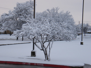 Filename=DSCF9902.JPG
Filesize=3171KiB
Dimensions=3264x2448
Date added=Sep 28, 2019 DSCF9902.JPG