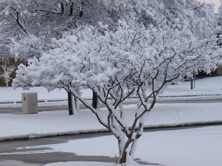 Filename=DSCF9904.JPG
Filesize=3213KiB
Dimensions=3264x2448
Date added=Sep 28, 2019 DSCF9904.JPG