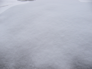 Filename=DSCF9906.JPG
Filesize=3452KiB
Dimensions=3264x2448
Date added=Sep 28, 2019 DSCF9906.JPG