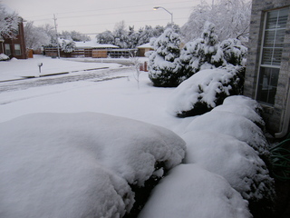 Filename=DSCF9908.JPG
Filesize=3487KiB
Dimensions=3264x2448
Date added=Sep 28, 2019 DSCF9908.JPG