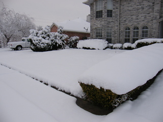 Filename=DSCF9911.JPG
Filesize=3414KiB
Dimensions=3264x2448
Date added=Sep 28, 2019 DSCF9911.JPG