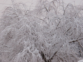 Filename=DSCF9913.JPG
Filesize=3097KiB
Dimensions=3264x2448
Date added=Sep 28, 2019 DSCF9913.JPG