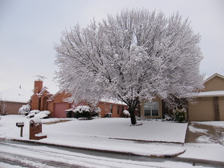 Filename=DSCF9915.JPG
Filesize=3154KiB
Dimensions=3264x2448
Date added=Sep 28, 2019 DSCF9915.JPG