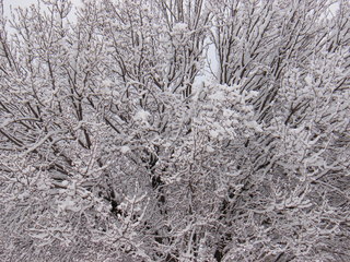 Filename=DSCF9917.JPG
Filesize=3141KiB
Dimensions=3264x2448
Date added=Sep 28, 2019 DSCF9917.JPG