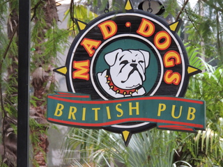 Filename=DSCN3062.JPG
Filesize=6003KiB
Dimensions=4608x3456
Date added=Sep 25, 2019 DSCN3062.JPG