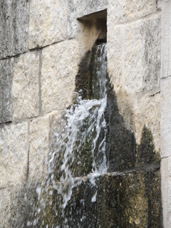 Filename=DSCN3063.JPG
Filesize=6153KiB
Dimensions=3456x4608
Date added=Sep 25, 2019 DSCN3063.JPG