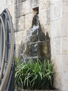 Filename=DSCN3064.JPG
Filesize=6217KiB
Dimensions=3456x4608
Date added=Sep 25, 2019 DSCN3064.JPG