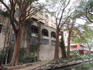 Filename=DSCN3102.JPG
Filesize=5446KiB
Dimensions=4608x3456
Date added=Sep 25, 2019 DSCN3102.JPG