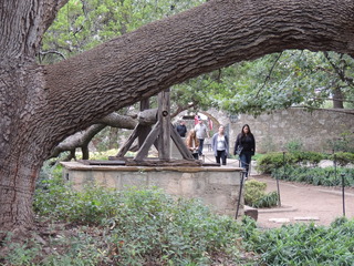 Filename=DSCN3131.JPG
Filesize=5900KiB
Dimensions=4608x3456
Date added=Sep 25, 2019 DSCN3131.JPG